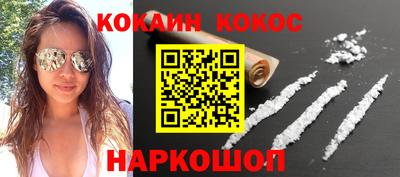 крисы Кингисепп