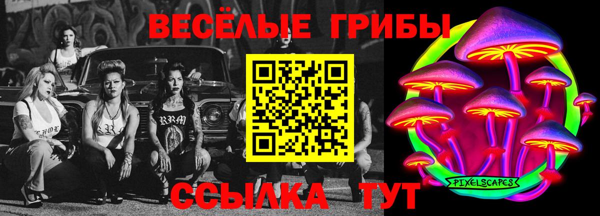 Якутск  Псилоцибиновые грибы мухоморы  купить  сайты  Вход с VPN 